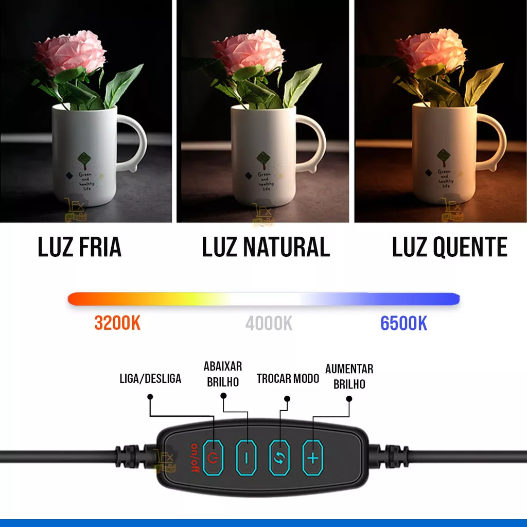 Iluminador Ring Light 6 Polegadas Com Suporte P/ Celular